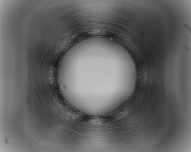 X0000099400416200805221900