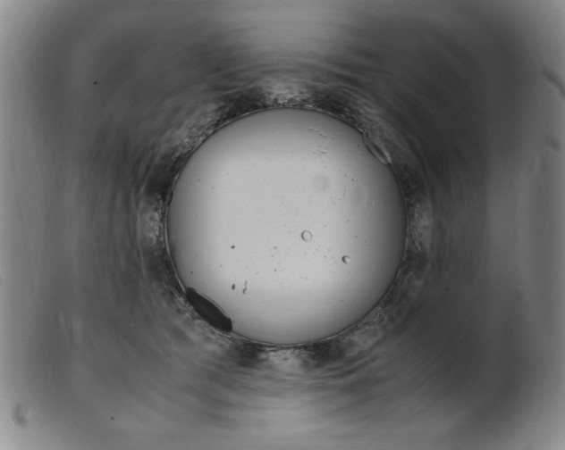 X0000099400417200805221900