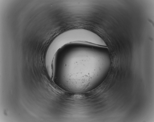 X0000099400418200805221900