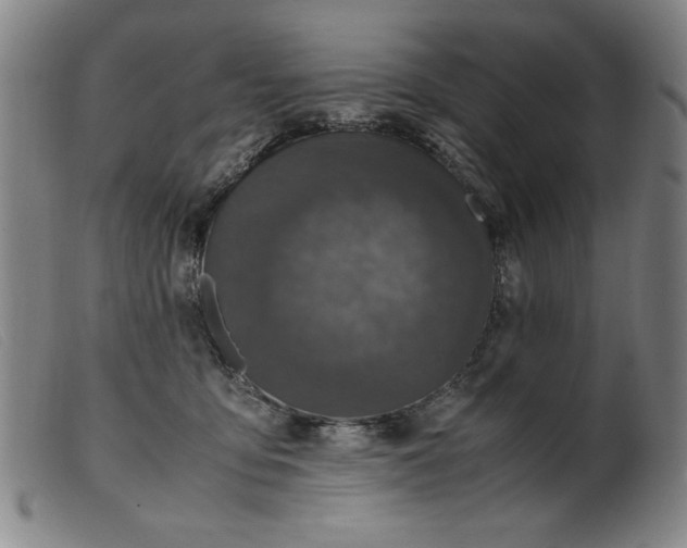 X0000099400419200805221900