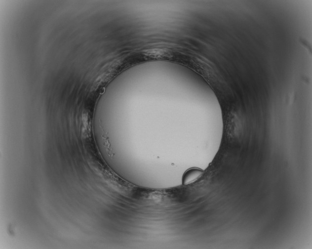 X0000099400420200805221900