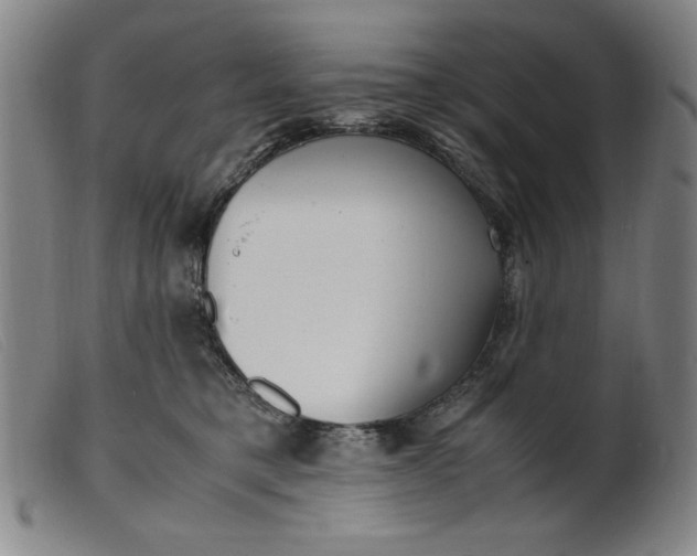 X0000099400421200805221900