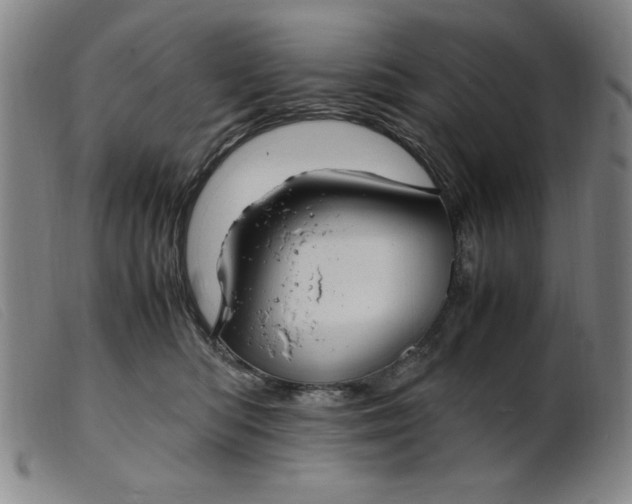 X0000099400422200805221900