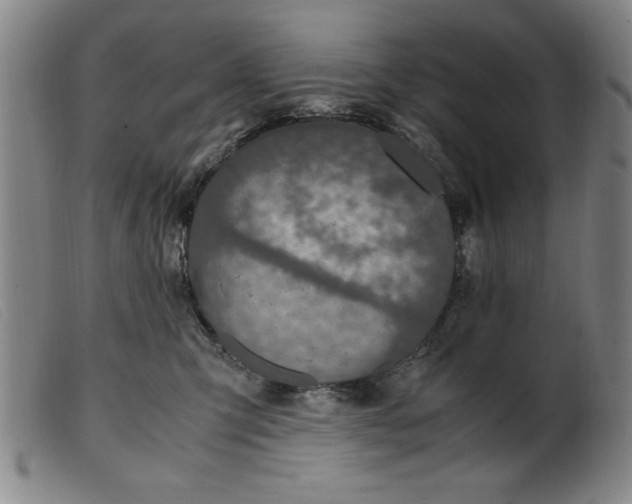 X0000099400423200805221900