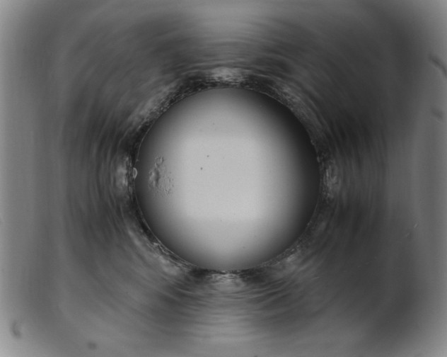 X0000099400424200805221900