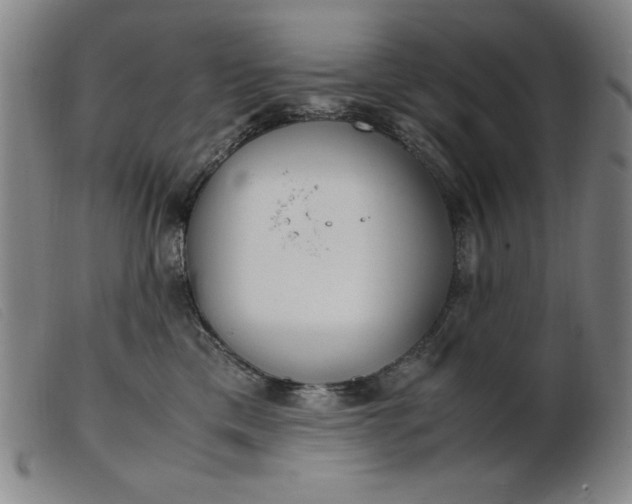 X0000099400425200805221900