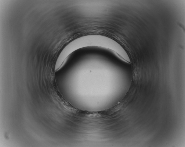 X0000099400426200805221900