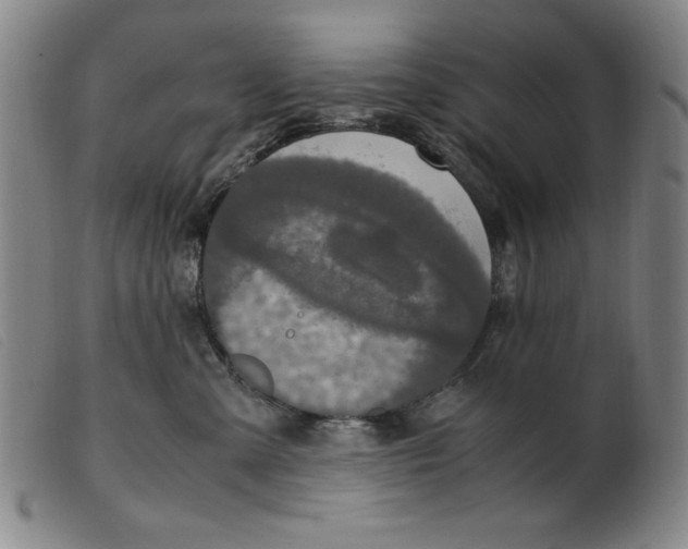 X0000099400427200805221900