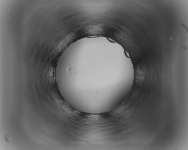 X0000099400428200805221900