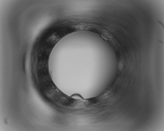 X0000099400429200805221900