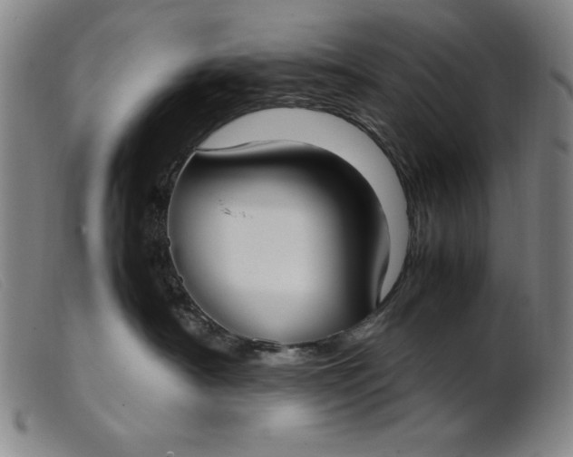 X0000099400430200805221900