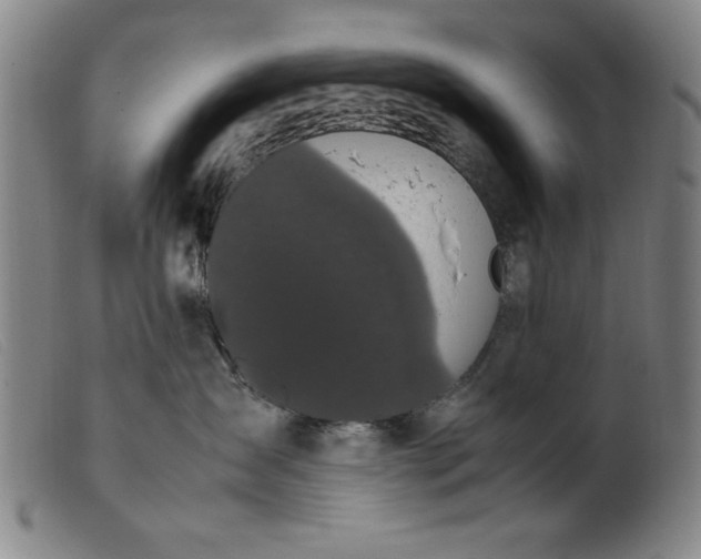 X0000099400431200805221900