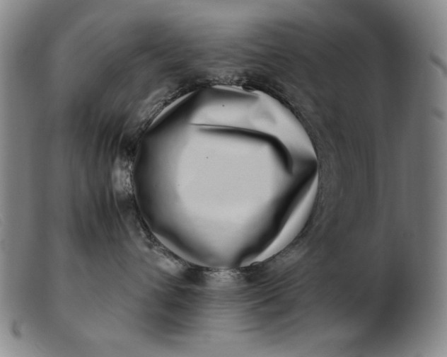 X0000099400432200805221900