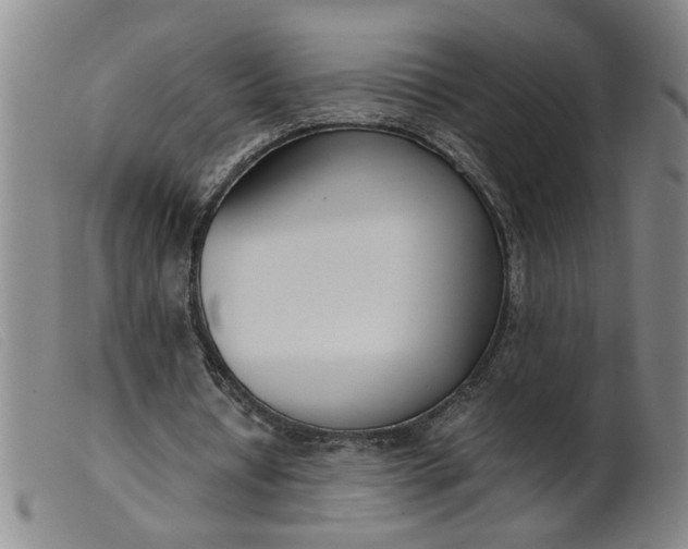 X0000099400434200805221859