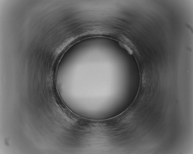 X0000099400436200805221859