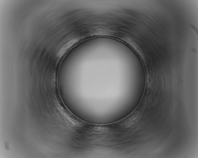 X0000099400437200805221859