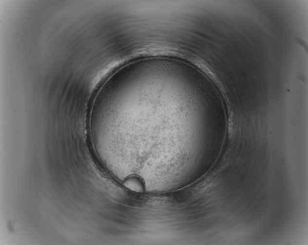 X0000099400438200805221859