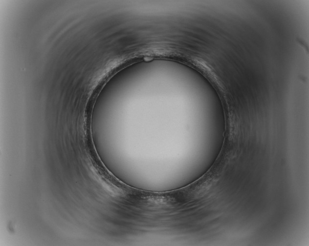 X0000099400439200805221859