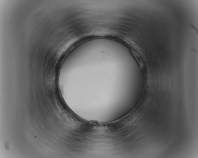 X0000099400440200805221859