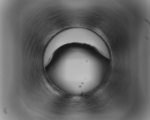 X0000099400441200805221859