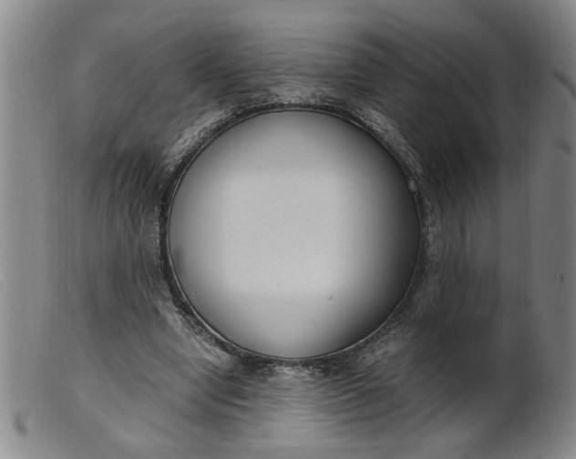 X0000099400442200805221859