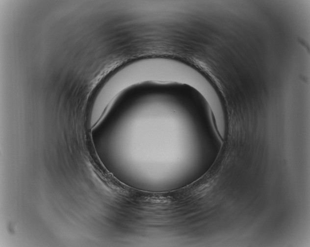 X0000099400443200805221900