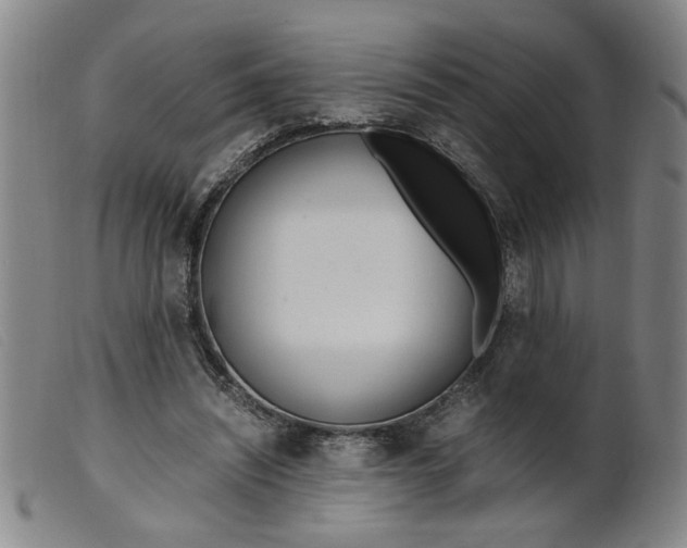 X0000099400444200805221900