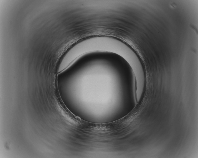 X0000099400445200805221900