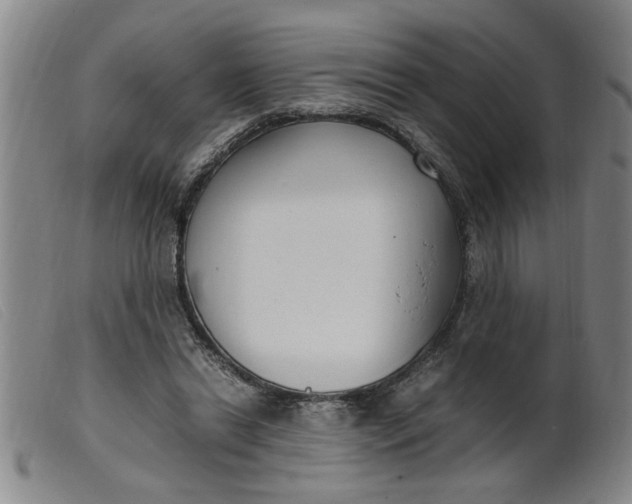 X0000099400446200805221900