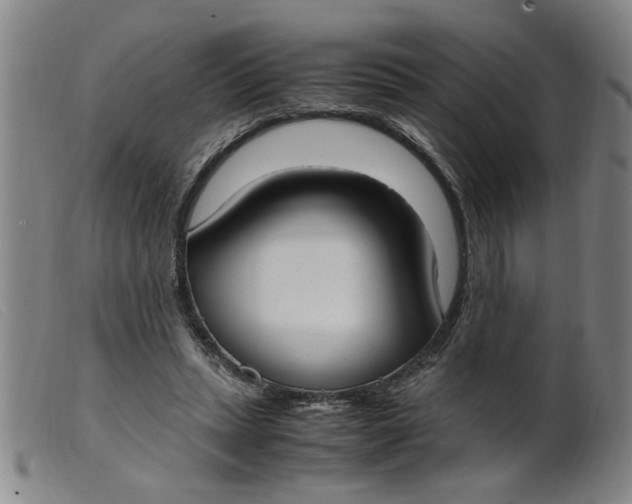 X0000099400447200805221900