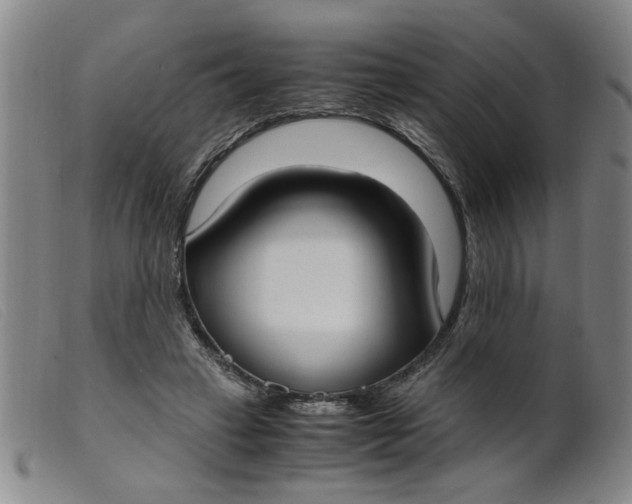 X0000099400449200805221900