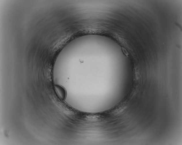 X0000099400450200805221900