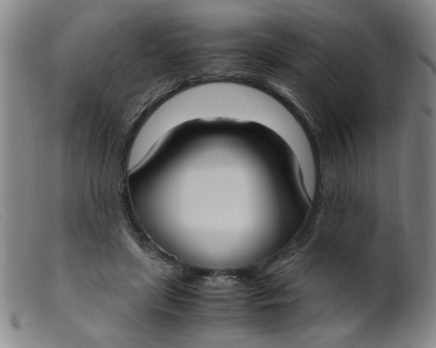 X0000099400451200805221900