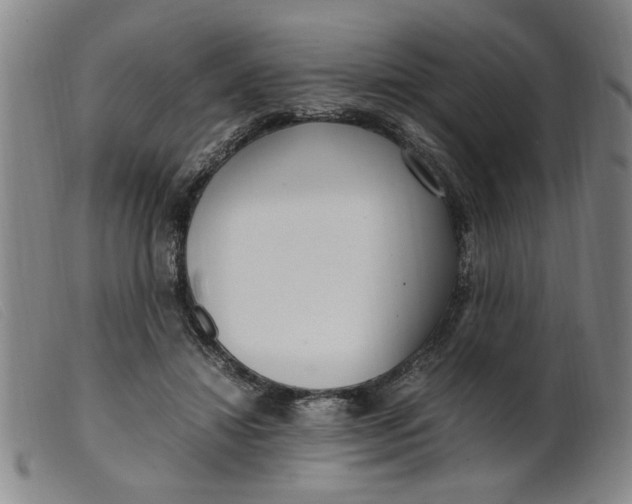 X0000099400452200805221900