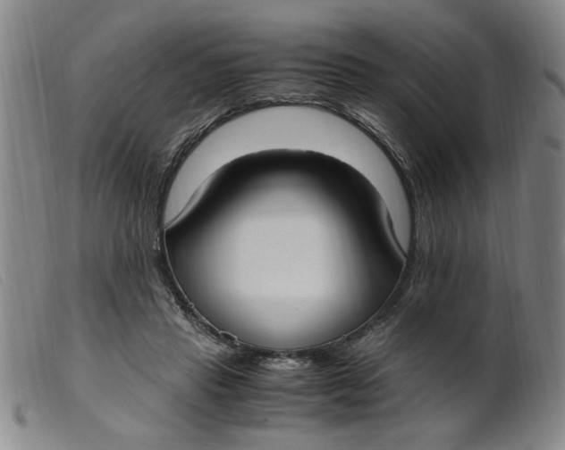 X0000099400453200805221900