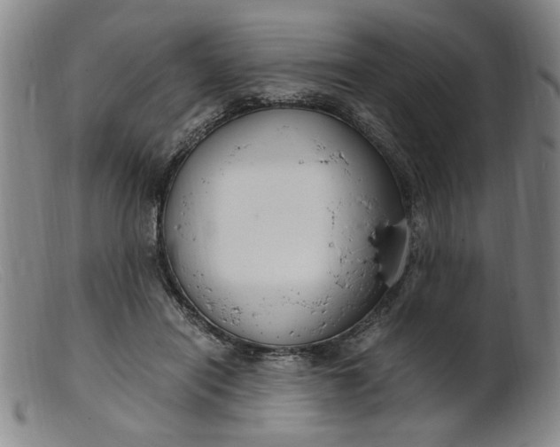 X0000099400454200805221900