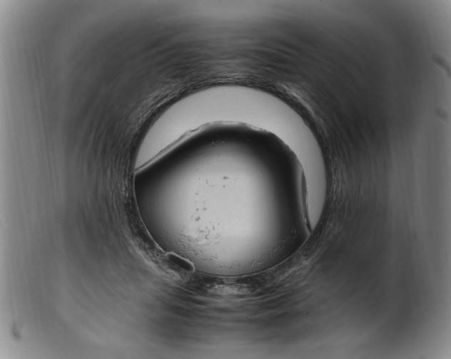 X0000099400455200805221900