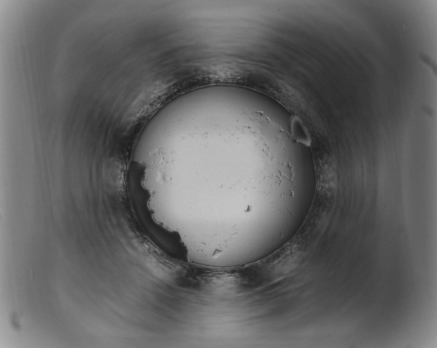 X0000099400456200805221900