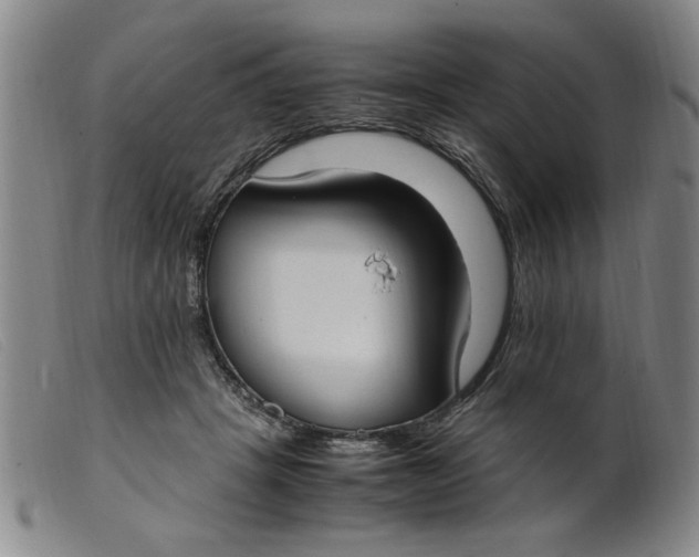 X0000099400457200805221900