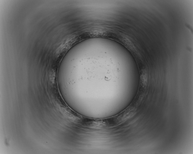 X0000099400458200805221900