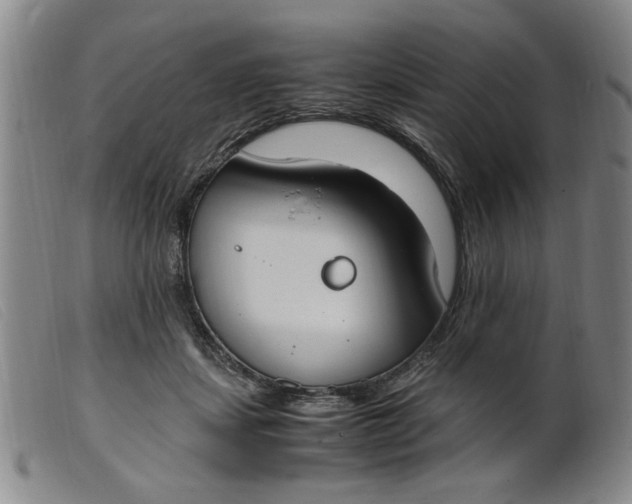 X0000099400459200805221900