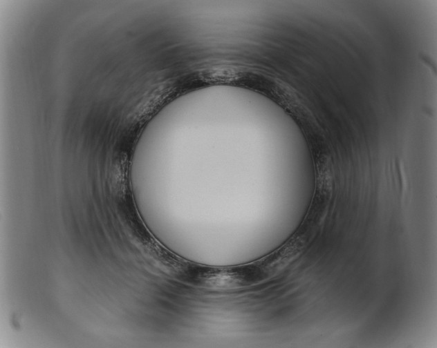 X0000099400460200805221900