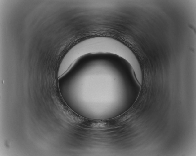 X0000099400461200805221900