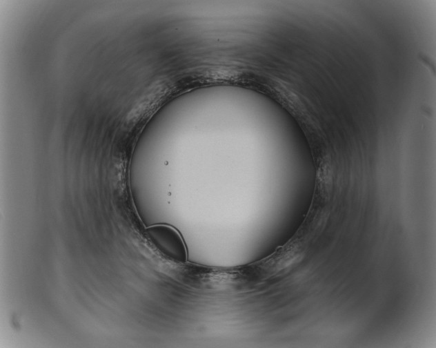 X0000099400462200805221900