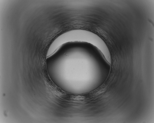 X0000099400463200805221900