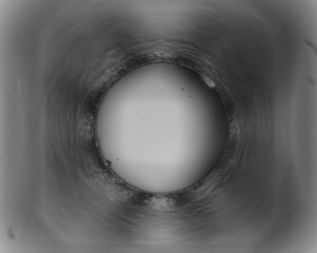 X0000099400464200805221900