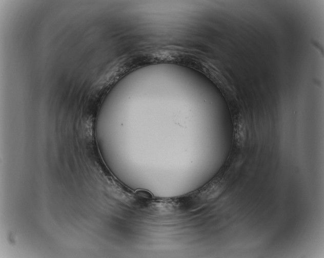 X0000099400466200805221900