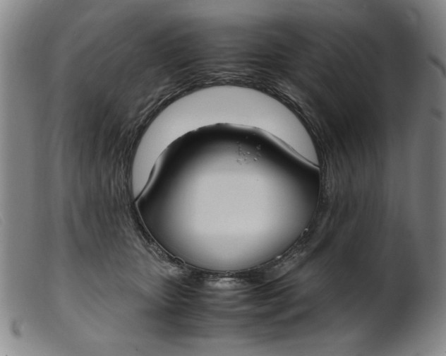 X0000099400467200805221900