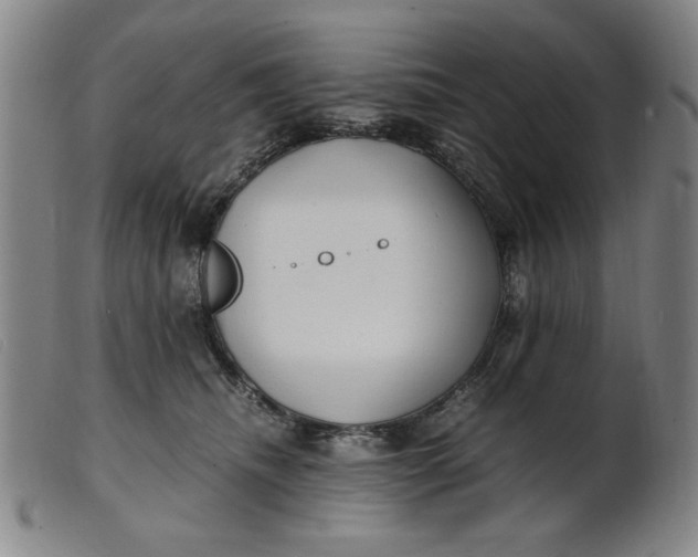 X0000099400468200805221900