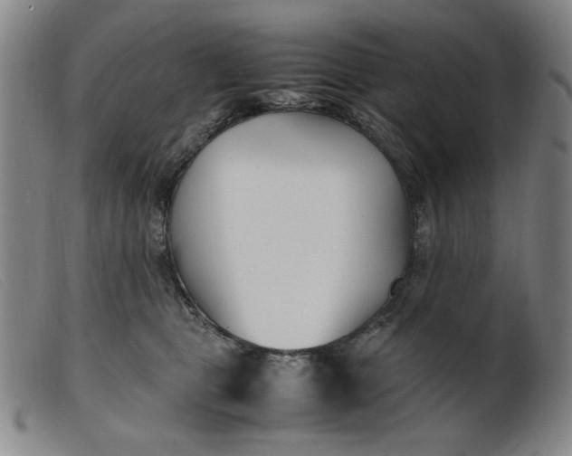 X0000099400469200805221900